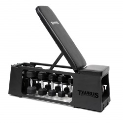 Taurus Elite HIIT Studio Bench