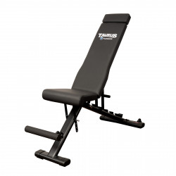 Taurus Flexicon Weight Bench