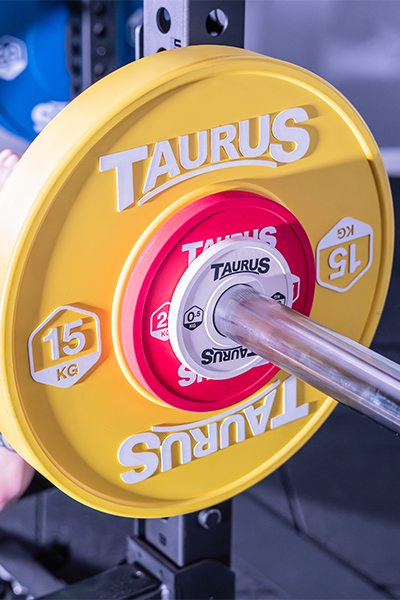 Taurus Fractional Weight Plates