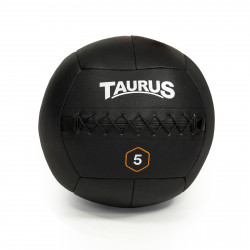 Taurus Wall Ball