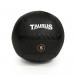 Taurus Wall Ball