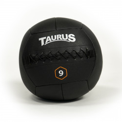 Taurus Wall Ball